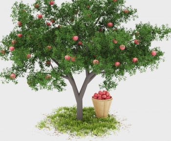 Modern Tree-ID:325234894