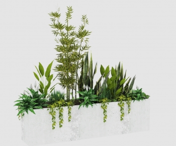 Modern Flower Bed, Flower Bowl, Flower Box-ID:136219026