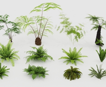 Modern Shrubbery-ID:784719042