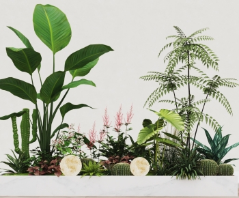 现代室内植物造景-ID:901340963