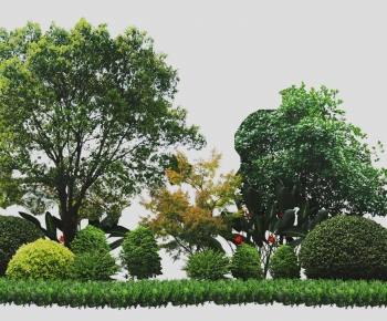 Modern Shrubbery-ID:551911123