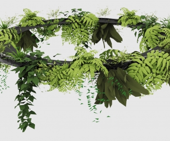 Modern Chlorophytum Comosum-ID:802639961