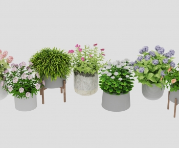 Modern Flowers And Grass-ID:808502911