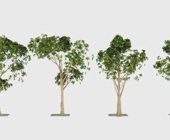 Modern Tree-ID:592938902