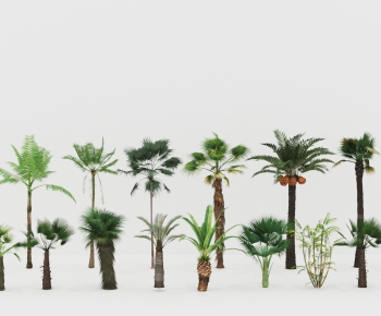 Modern Tree-ID:520010058