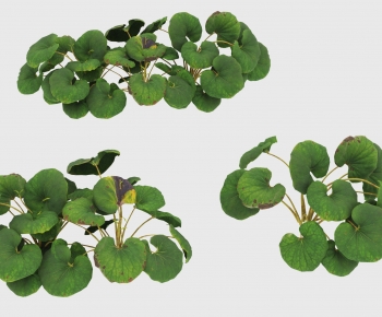 Modern Plant-ID:681931979