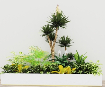 Modern Flower Bed, Flower Bowl, Flower Box-ID:722743992