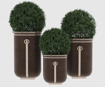 Modern Ground Green Plant Potted Plants-ID:243699679