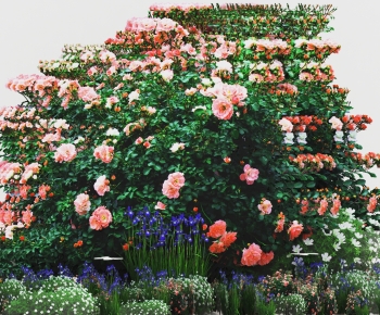 Modern Flowers And Grass-ID:136129949