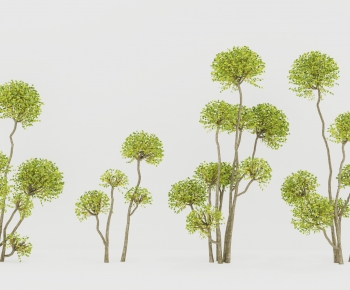 Modern Shrubbery-ID:571933986