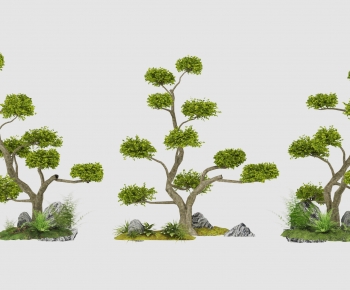 Modern Tree-ID:421348092