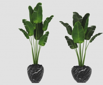 Modern Ground Green Plant Potted Plants-ID:135859976
