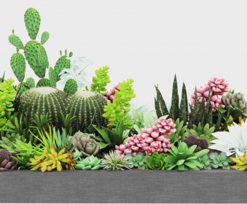 Modern Plant-ID:770302063