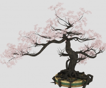 Country Style Bonsai-ID:305627119
