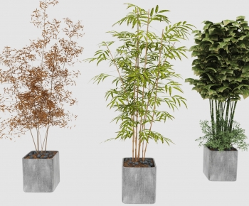 Modern Bamboo-ID:888358124
