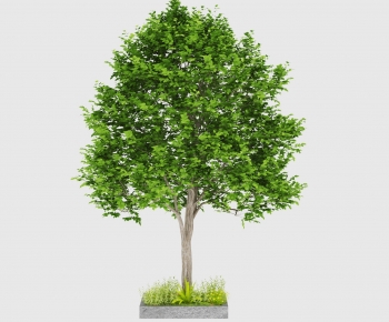 Modern Tree-ID:994945059