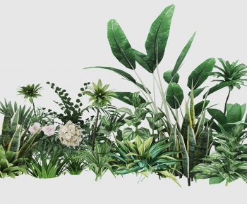 Modern Plant-ID:580902104