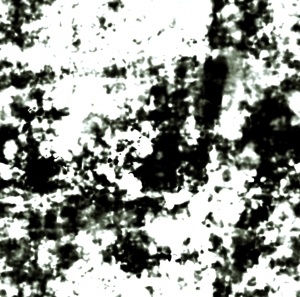 ModernBump Black And White