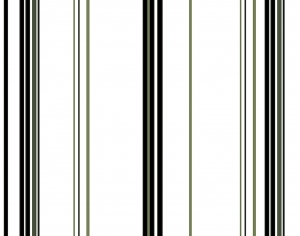 ModernBump Black And White