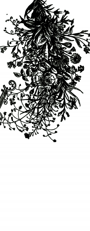 ModernBump Black And White