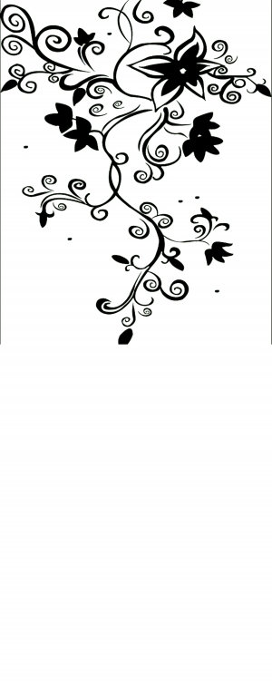 ModernBump Black And White