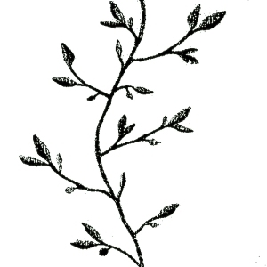 ModernBump Black And White