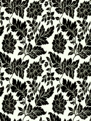 ModernBump Black And White