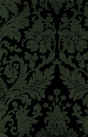 ModernBump Black And White