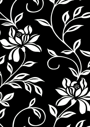 ModernBump Black And White