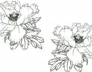 ModernBump Black And White