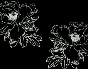 ModernBump Black And White