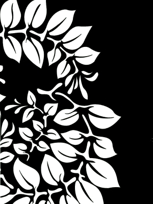 ModernBump Black And White