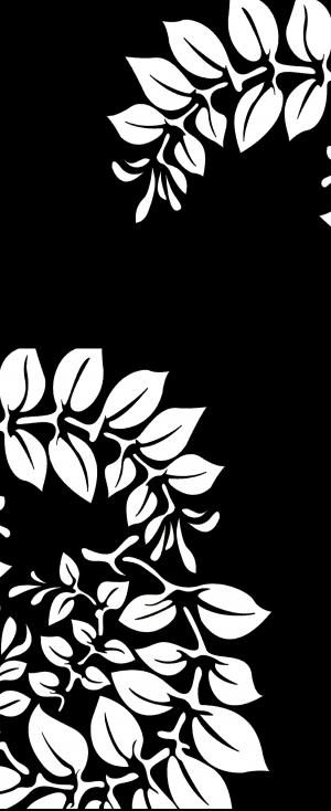 ModernBump Black And White