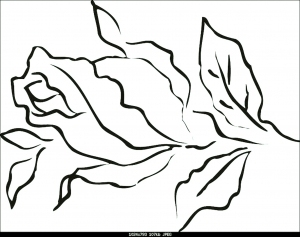 ModernBump Black And White