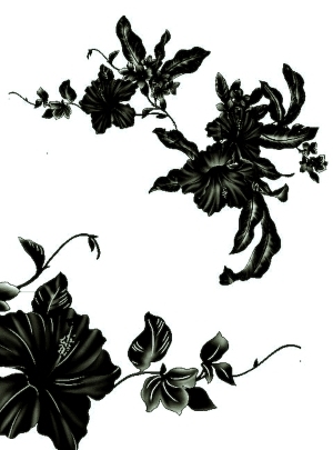 ModernBump Black And White