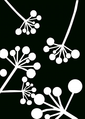 ModernBump Black And White