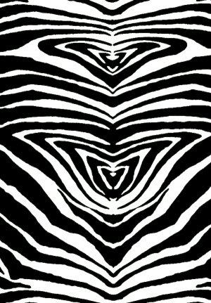 ModernBump Black And White