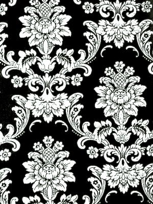 ModernBump Black And White