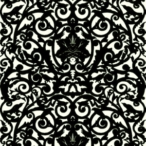 ModernBump Black And White