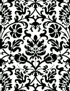 ModernBump Black And White