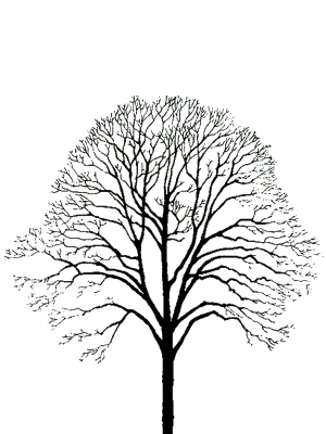 ModernBump Black And White