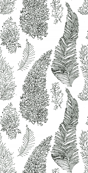 ModernBump Black And White