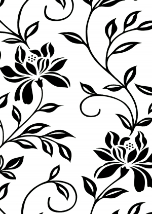 ModernBump Black And White