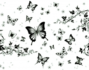 ModernBump Black And White