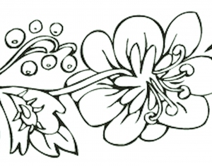 ModernBump Black And White