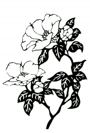 凹凸黑白-ID:538055903