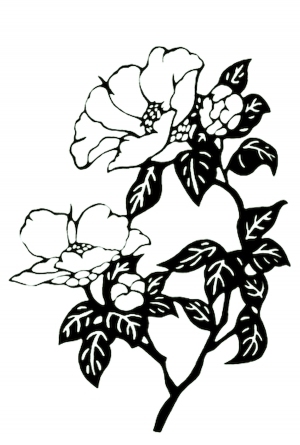 ModernBump Black And White