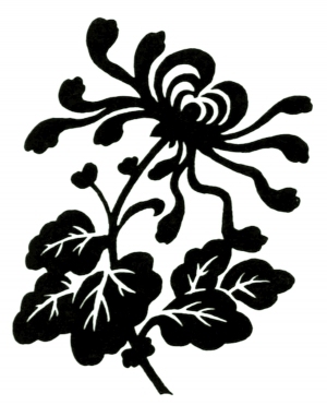 ModernBump Black And White