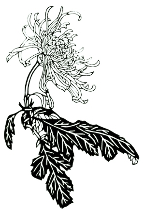 ModernBump Black And White