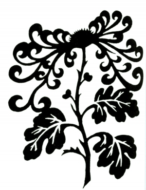 ModernBump Black And White